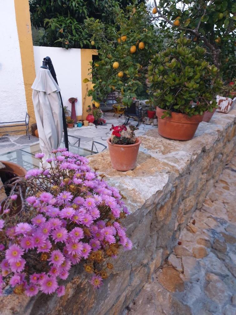 Casa Das Janelinhas - Cottage Near Sintra, Mafra, Ericeira Extérieur photo