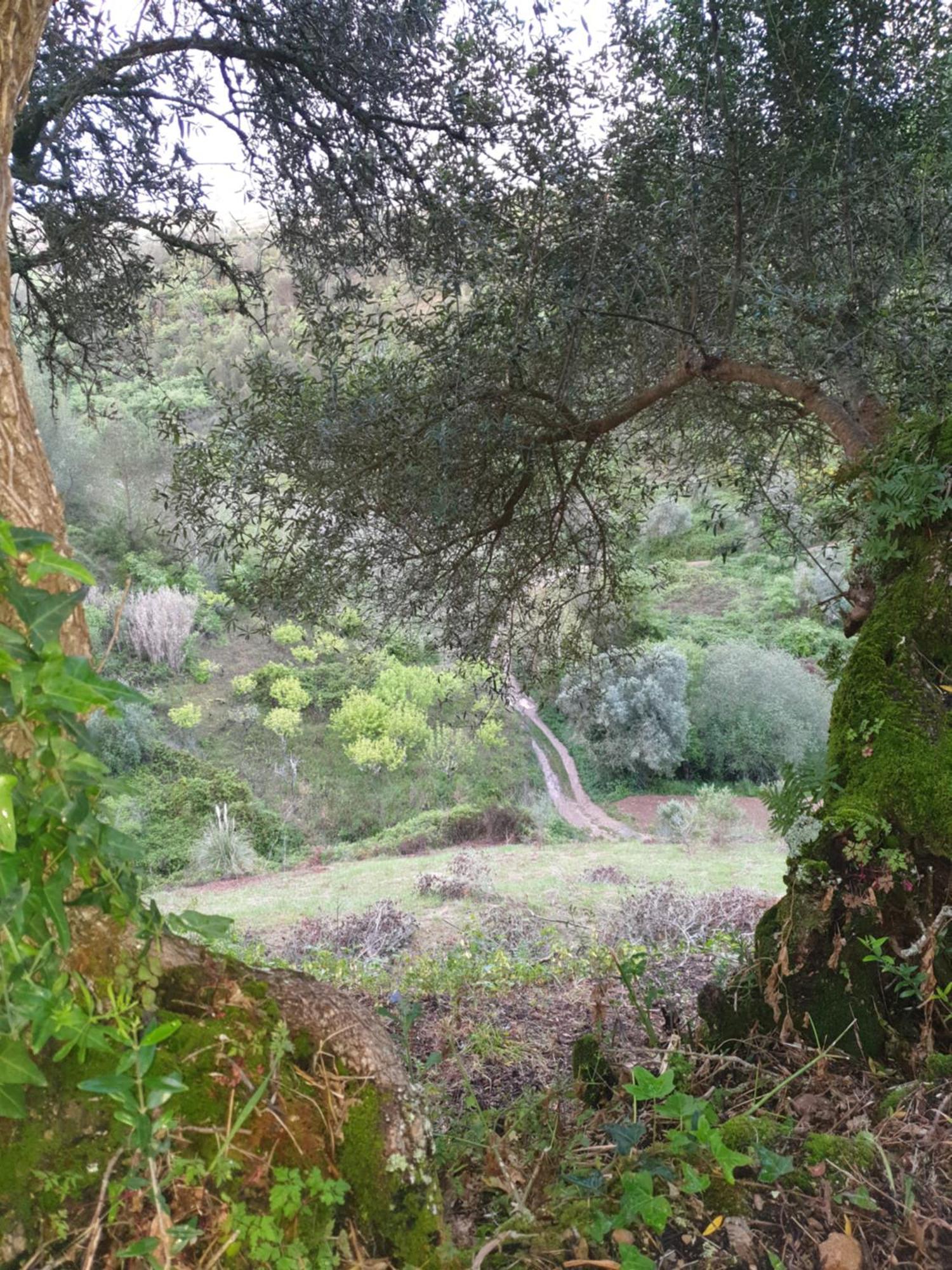 Casa Das Janelinhas - Cottage Near Sintra, Mafra, Ericeira Extérieur photo