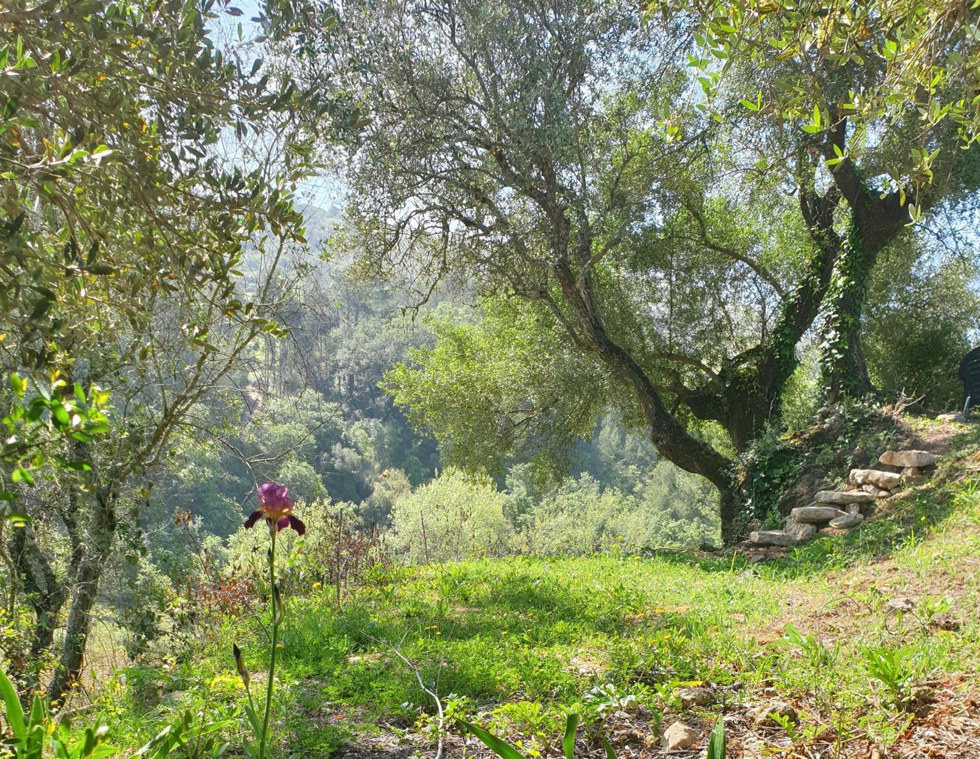 Casa Das Janelinhas - Cottage Near Sintra, Mafra, Ericeira Extérieur photo